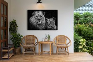 A cozy porch with two wicker chairs, a small round table, potted plants, and striking Chromaluxe Metal Prints of two lions hanging above the chairs. Natural light brightens the space. Prints 4 You